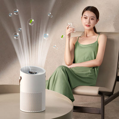 Carbon Filter Vehicle Air Cleaner 100 M3/h With 20ml/H Humidification