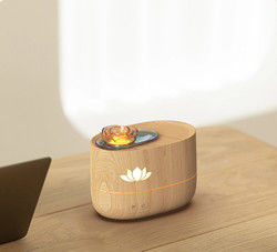 350ml Fire Flame Humidifier With Timing Automatic Outage Protection